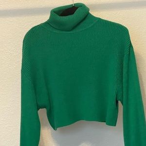 Green cropped turtle sweater